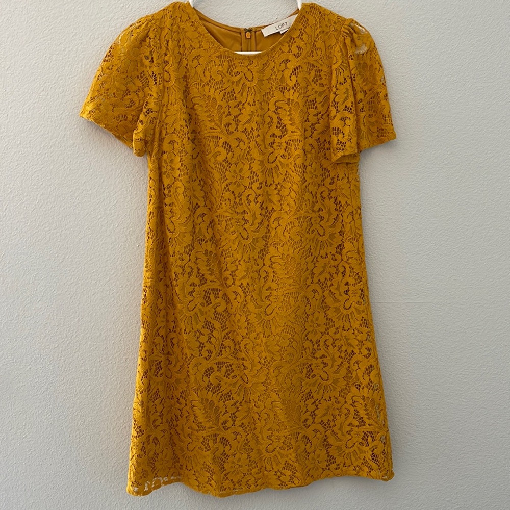 Ann Taylor Loft Lace Dress, size 0